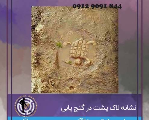 نشانه لاک پشت در گنج یابی