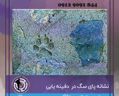 نشانه پای سگ در گنج یابی