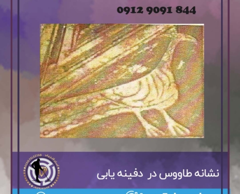نشانه طاووس در گنج یابی و دفینه یابی