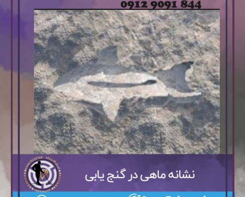 نشانه ماهی در گنج یابی